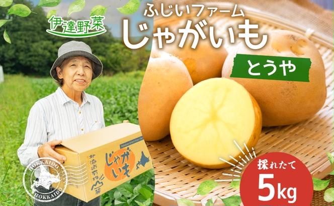 北海道産 じゃがいも とうや 約5kg ジャガイモ 馬鈴薯 ポテト 芋 イモ 旬 産地直送 国産 野菜 農作物 甘い ホクホク しっとり 煮物 カレー 肉じゃが 人気 ふじいファーム  送料無料