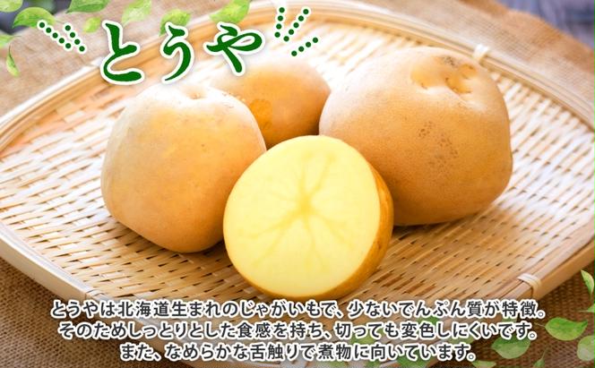 北海道産 じゃがいも とうや 約5kg ジャガイモ 馬鈴薯 ポテト 芋 イモ 旬 産地直送 国産 野菜 農作物 甘い ホクホク しっとり 煮物 カレー 肉じゃが 人気 ふじいファーム  送料無料