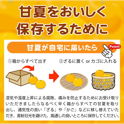 G7075_【先行予約】湯浅産 初夏の柑橘 甘夏みかん 7kg