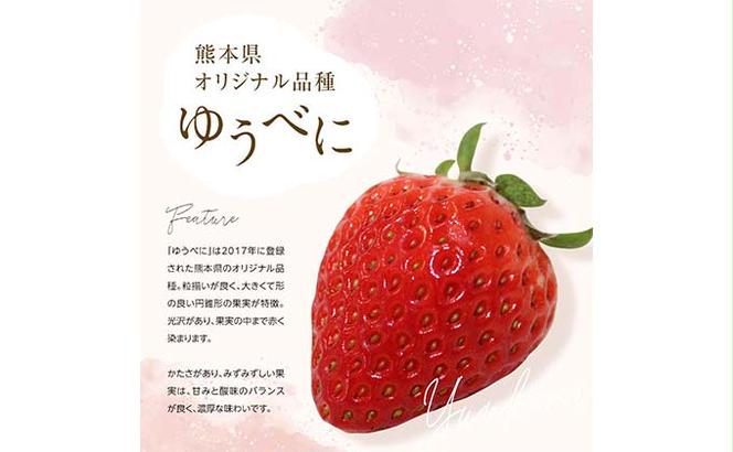 FKK19-738_【先行予約】嘉島町産いちご 「ゆうべに」2,160g (270g×8パック) ※2025年1月より順次発送