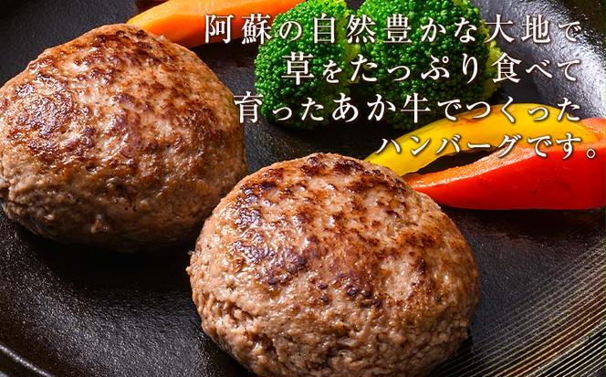 FKK19-219_あか牛100％ハンバーグ（100g×10個） 熊本県 嘉島町