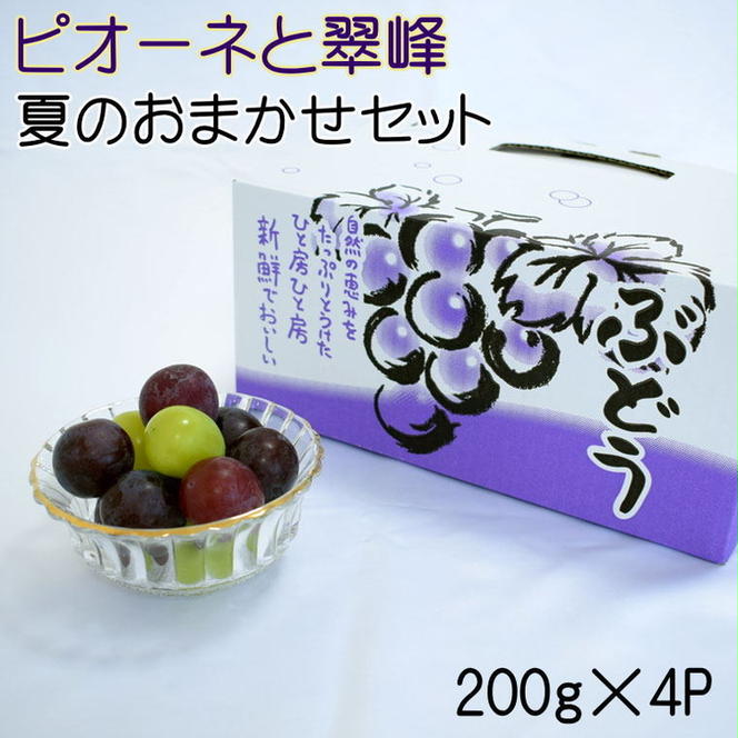 【数量限定】ピオーネと翠峰の夏のおまかせセット約200g×4パック ※北海道・沖縄・離島への配送不可 ※2025年8月下旬～9月上旬頃に順次発送予定