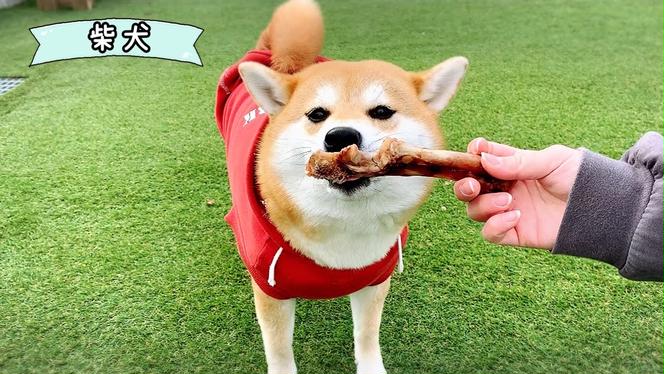 FB131_【お試し2本】中型犬向け☆天然いのししのスモーク骨ガム