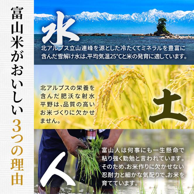 射水産 こしひかり 2合 12個入り セット 詰め合わせ ギフト 米 お米 こめ コメ おこめ 白米