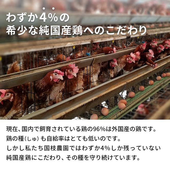 卵 わずか4%の希少な純国産鶏 いけだの森たまご 40個 こだわり おこめのたまご 玉子 鶏卵 生卵 産地直送 冷蔵配送 TKG 卵かけご飯 岐阜県産