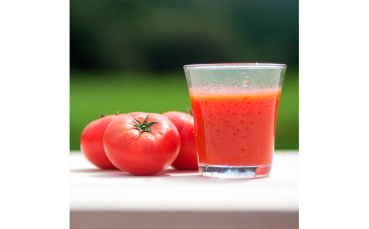 【池トマト】みなみのかほり 180ml×8本セット トマトジュース 食塩無添加 1本にトマト約3個分使用 糖度6.5度以上 トマト 100％ジュース ドリンク