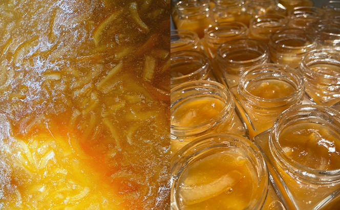 FRUITS JEWELRY 岡山 レモン マーマレード 120g×3個 セット （ 瀬戸内市 牛窓産 レモン使用） ジャム 無添加 皮ごと ビタミン