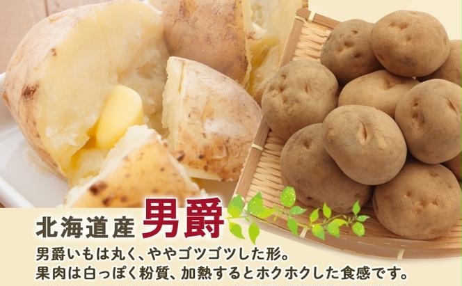 【 2025年 発送 】 先行予約 北海道産 道塚農園 じゃがいも 男爵 計10kg前後 L-LLサイズ ジャガイモ 男爵いも 男爵芋 だんしゃく 馬鈴薯 芋 いも イモ 農作物 野菜 産地直送 