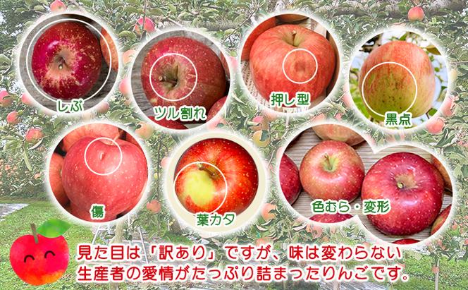 青森県鰺ヶ沢町産りんご megumi farmのぴんこ【訳あり 超小玉サンふじ】（20～30玉入）