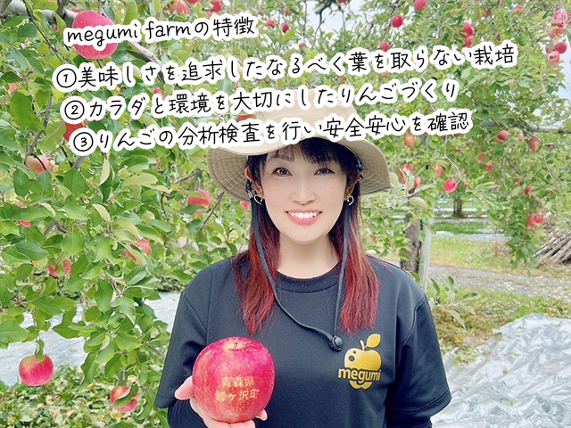 【10月中旬クール便発送】青森県鰺ヶ沢町産りんご megumi farmのサンジョナゴールド 家庭用 約5kg（10～16玉入）