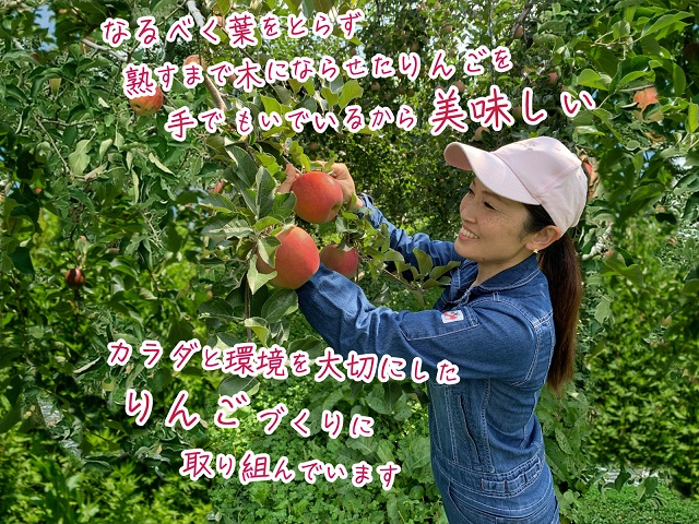 【10月中旬クール便発送】青森県鰺ヶ沢町産りんご megumi farmのサンジョナゴールド 家庭用 約5kg（10～16玉入）