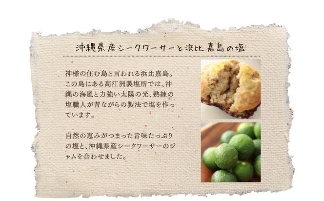 【ぬちぐすいvegan】島野菜マフィン3種類9個詰め合わせ