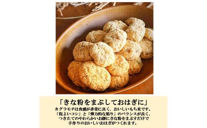 【日本農業賞大賞】もち米9kg（4.5kg×2袋）精白米(カグラモチ)