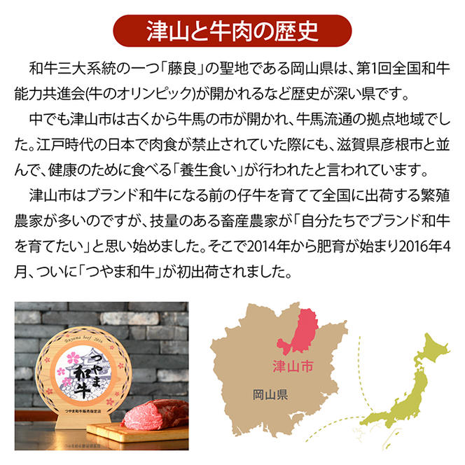 つやま 和牛 切り落とし 約600g 肉 牛肉 ミート 黒毛 産地直送 岡山 黒毛和牛 岡山県産 希少 柔らかい クセのない ブランド牛 つやま和牛 料理 