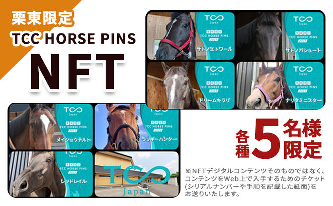 栗東限定 TCC HORSE PINS（滋賀県栗東市） | ふるさと納税サイト