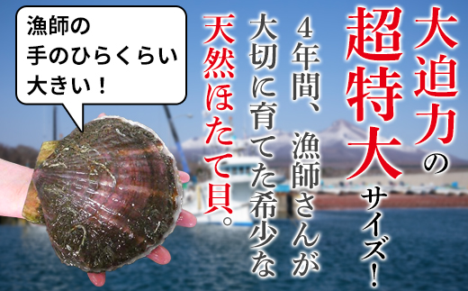 【緊急支援品】北海道噴火湾産 特大 天然ほたて片貝 8枚 事業者支援 中国禁輸措置