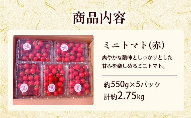 【栽培期間中 農薬不使用 】 北海道 滝川市 産 ミニトマト (赤) 約2.75kg トマト 野菜 やさい みにとまと