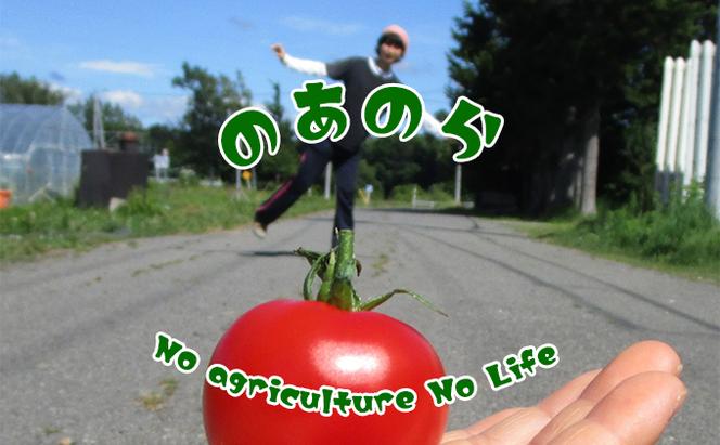 【栽培期間中 農薬不使用 】 北海道 滝川市 産 ミックス ミニトマト 約1.1kg トマト 野菜 やさい みにとまと