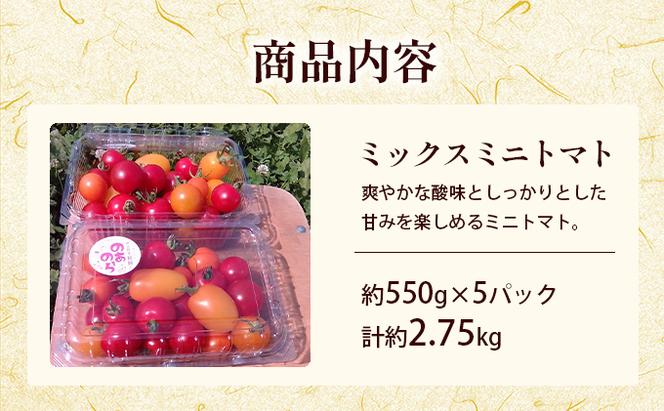 【栽培期間中 農薬不使用 】 北海道 滝川市 産 ミックス ミニトマト 約2.75kg トマト 野菜 やさい みにとまと