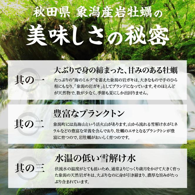 先行予約 秋田の肉厚な天然岩牡蠣（岩ガキ 5個以上）※ナイフ付き