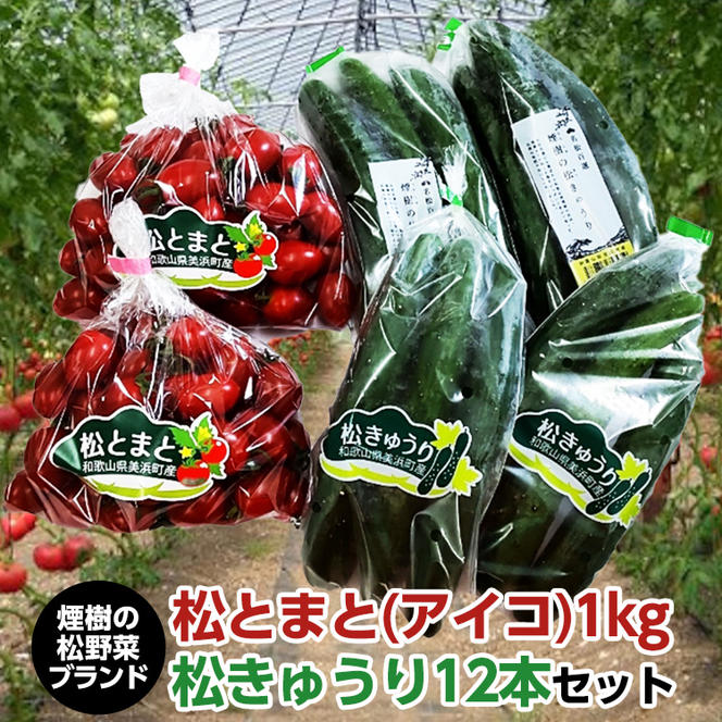【煙樹の松野菜ブランド】
松とまと（アイコ）松きゅうりセット ※2024年11月中旬～2025年6月上旬頃に順次発送予定