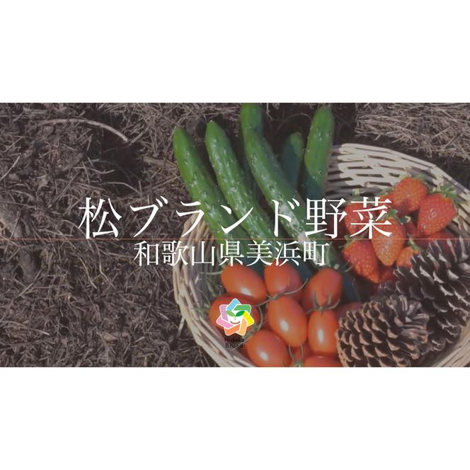 【煙樹の松野菜ブランド】
松とまと（アイコ）松きゅうりセット ※2024年11月中旬～2025年6月上旬頃に順次発送予定