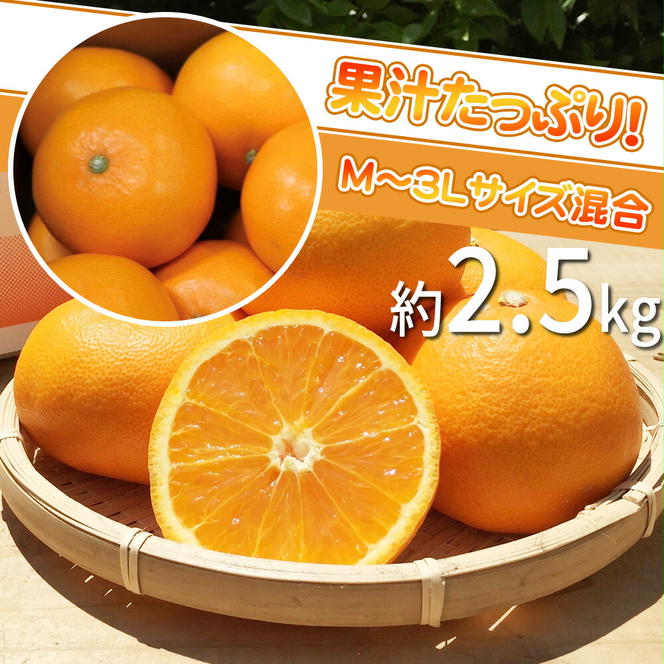 BL6161n_【先行予約】【産地直送】和歌山県産 せとか 2.5kg(M～3L