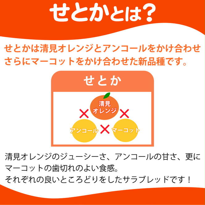 BL6161n_【産地直送】和歌山県産 せとか 2.5kg(M～3Lサイズ混合) 秀品