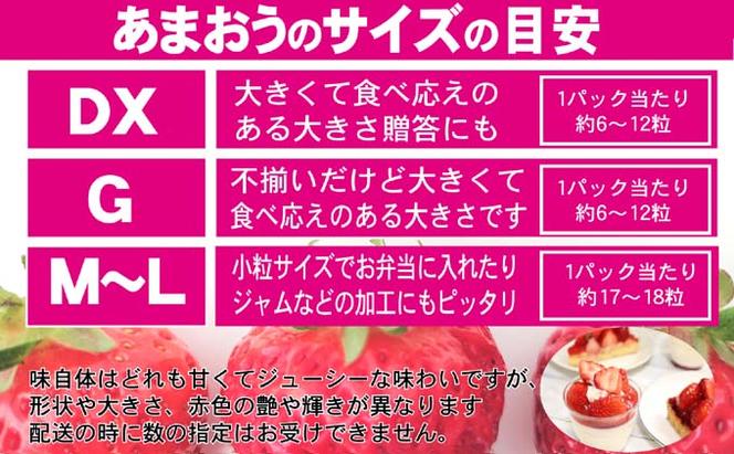 いちご あまおう DX 等級のみ 約520g（260g×2パック）配送不可 北海道 東北 沖縄 離島