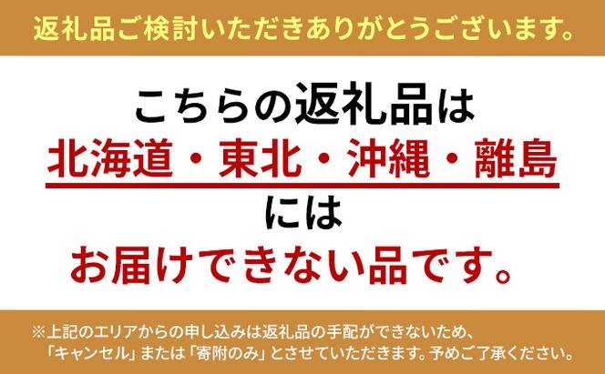 いちご あまおう 2L以上 約520g（260g×2パック）配送不可 北海道 東北 沖縄 離島