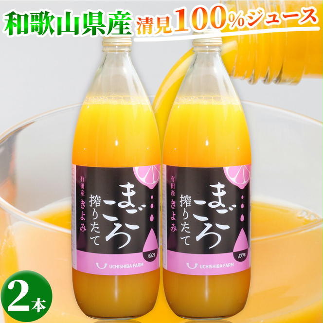 ZE6406n_【まごころ搾りたて】清見 100%ジュース 1000ml 2本