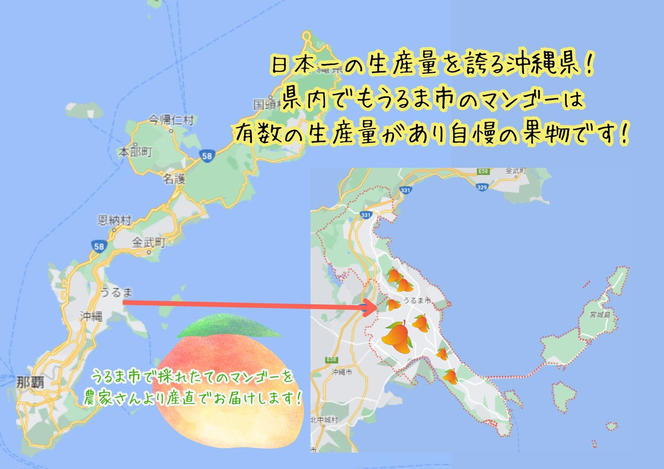 要マンゴー農園の完熟アップルマンゴー　１kg　２玉～３玉【2025年発送】
