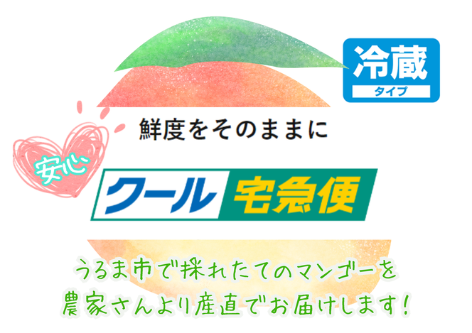 要マンゴー農園の完熟アップルマンゴー　１kg　２玉～３玉【2025年発送】
