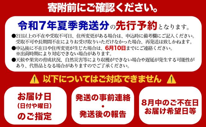 要マンゴー農園の完熟アップルマンゴー　１kg　２玉～３玉【2025年発送】
