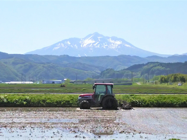 米 令和6年産 まっしぐら 白米 20kg (10kg×2袋) 精米 こめ お米 おこめ コメ ご飯 ごはん 令和6年 山下農園 青森 青森県