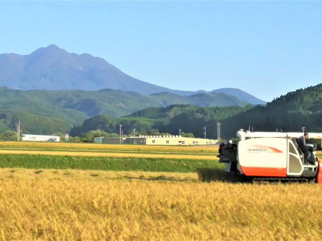 米 令和6年産 まっしぐら 玄米 10kg (5kg×2袋) こめ お米 おこめ コメ ご飯 ごはん 令和6年  山下農園 青森 青森県