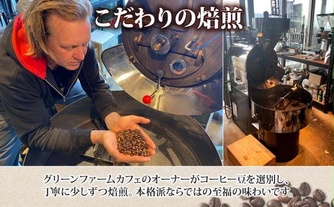 ニセコブレンド コーヒー 豆 1kg ミディアムロースト 珈琲 専門店 ドリップコーヒー 豆 小分け 自家焙煎 ミディアム焙煎 グアテマラ豆 グリーンファームカフェ 中煎り珈琲