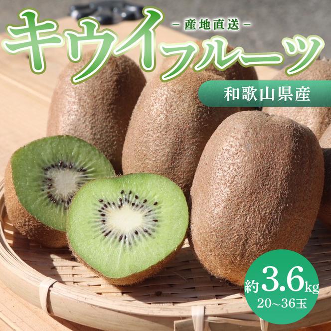 和歌山産 キウイフルーツ M～4Lサイズ 約3.6kg 秀品 ※2026年1月下旬～3月中旬頃に順次発送予定 ※北海道・沖縄・離島への配送不可