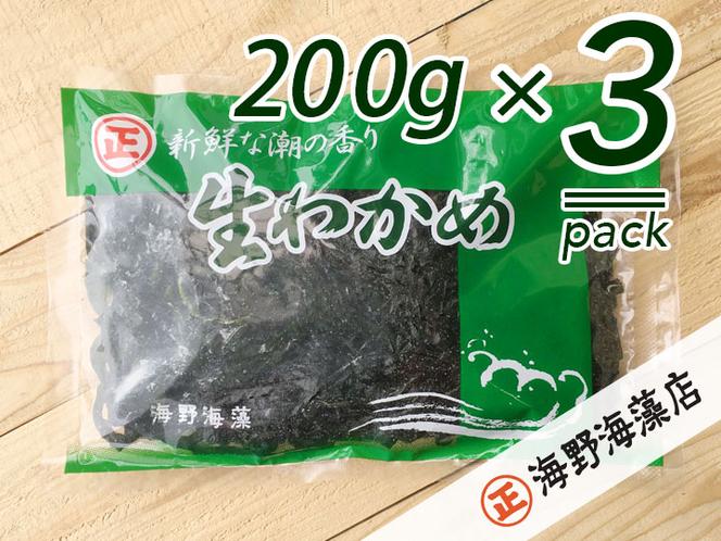 塩蔵わかめ 200g ×3パック 青のりとろろ 22g × 3パック セット 海野海藻店 国産 三陸産 わかめ 青さのり のり とろろ昆布 とろろ 昆布 海藻 茨城 大洗