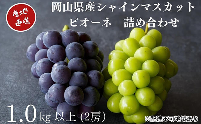厳選 シャインマスカット・ニューピオーネ 2房 合計1.0kg以上 詰合せ 産地直送 朝採れ ぶどう 葡萄 Kawahara Green Farm 岡山県産 2024年