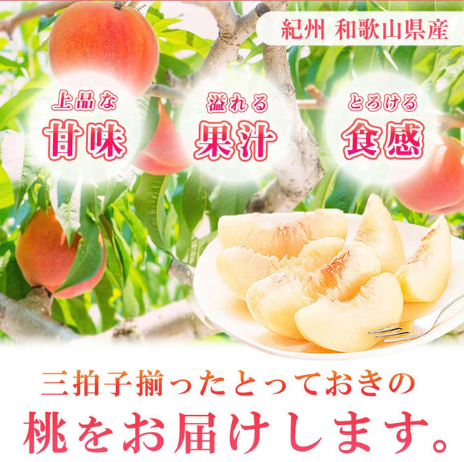 紀州和歌山産の桃　１５玉　化粧箱入◇
※着日指定不可
※2024年6月下旬～8月中旬頃に順次発送予定