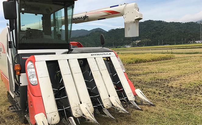 令和6年産福井県若狭町コシヒカリ（一等米）玄米　5kg（神谷農園） 5kg×1袋