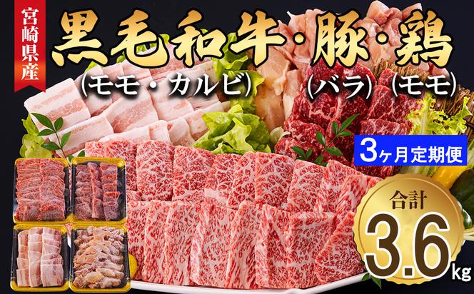 【３ヶ月定期便】 宮崎県産 焼肉 セット 黒毛和牛 モモ カルビ 豚バラ 若鶏 モモ 合計3.6kg 各300g 小分け 冷凍 送料無料 国産 BBQ バーベキュー キャンプ 普段使い 炒め物 丼 カット 詰め合わせ 経産牛