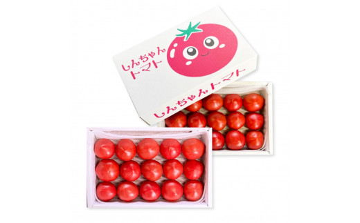  糖度9度以上 フルーツトマト しんちゃんトマト 750g×2箱 合計約1.5kｇ (小 - 大玉サイズ 18 - 30個×2箱) トマト 高糖度 高知県産 ふるーつとまと 甘い 美味しい 