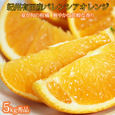 G7079_【先行予約】希少な国産バレンシアオレンジ 5kg 秀品