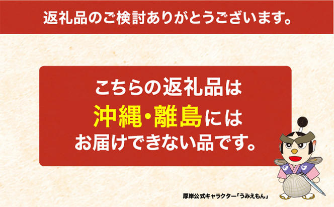 北海道 厚岸産 大鷲牡蠣 10個 カキ 牡蠣 殻牡蠣