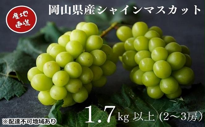 厳選 シャインマスカット 2～3房 合計1.7kg以上 産地直送 朝採れ ぶどう 葡萄 Kawahara Green Farm 岡山県産 2025年