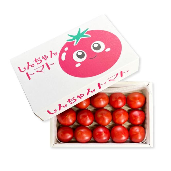糖度9度以上 フルーツトマト しんちゃんトマト 約750g (小 - 大玉サイズ 18 - 30個) トマト 高糖度 高知県産 ふるーつとまと 甘い 美味しい お取り寄せ