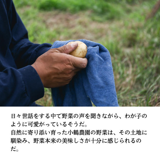 小鶴農園 季節のお野菜7～9品目セット（農薬・化学肥料不使用）【配達不可：北海道・沖縄・離島】