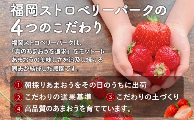 訳あり いちご 2025年2月下旬より発送 あまおう サイズ色々 6パック 約1.71kg 配送不可 離島